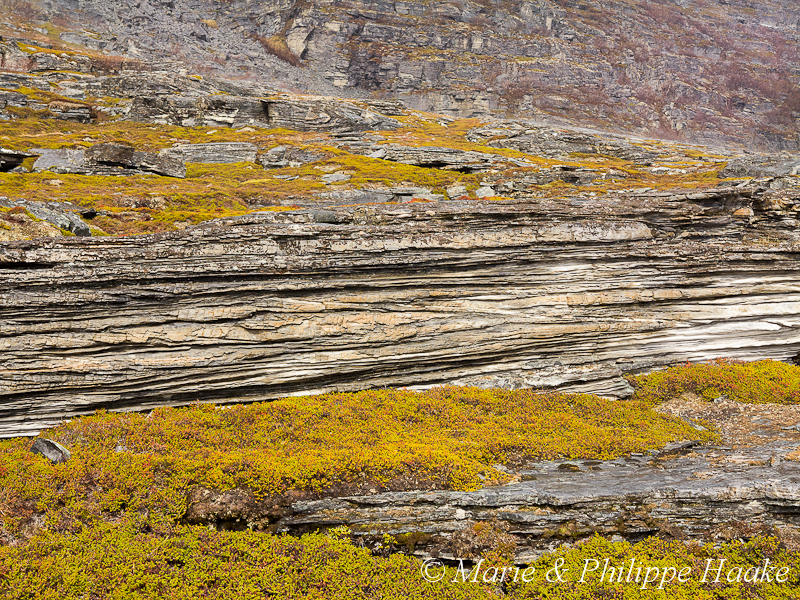 Finnmark 1292.jpg - Sur la route du Cap Nord (Norvège, juin 2012)